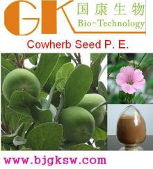 Cowherb Seed P. E. Extract Powder 10:1 cowherb flavone glycoside