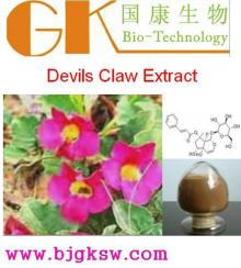  Devil  s  Claw  Root Extract Harpagoside  Devil s  Claw  Extract