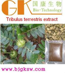 55056-80-9,Tribulus terrestris extract,Saponins,Tribulus Terrestris L.