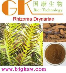 Rhizoma Drynariae Extract 10:1 Naringin Rhizoma Drynariae Extract Powder