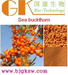 High Quality Sea Buckthorn Extract Seabuckthorn Flavone