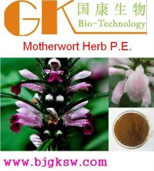 Motherwort Herb P.E. Extract 20:1 Leonurine Leonurus heterophyllus Sweet