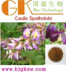 Catechol,Caulis Spatholobi P.e.,Caulis Spatholobi Extract