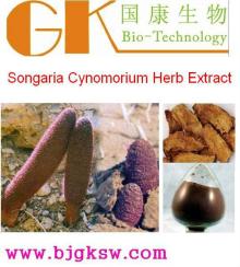 Songaria  Cynomorium  Herb  Extract  10:1 Anthocyanin  Cynomorium   Extract 