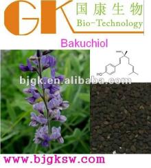 CAS NO. :10309-37-2, High Quality Bakuchiol 95%-98%,Herbal Extract Bakuchiol HPLC