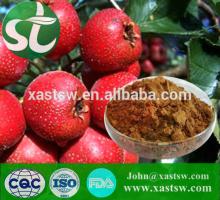 Pure natural hawthorn leaves extract