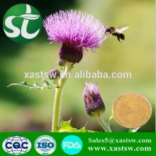Silybum Marianum Extract