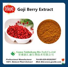 Manufacture Offer High Quality Natural goji berry(wolfberry) extract