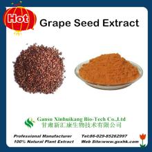 High quality Natural and Organic Grape Seed Extract with 95 %OPC Made in China
