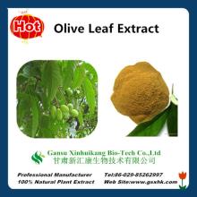 High Quality Olive Leaf Extract Oleuropein