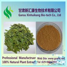Senna Leaf Extract With 4% 8% 20% Sennosides,Natural Senna Leaf Extract
