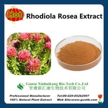 Natural Plant Rhodiola Rosea Extract