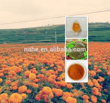 Lutein xanthophyll from alfalfa/herbal extract