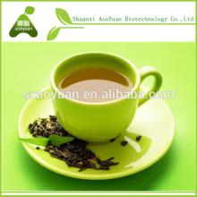 free sample top quality 95% EGCG green tea extract / instant green tea powder