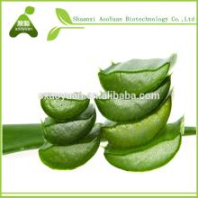 Pure Natural Aloe Vera Extract Powder aloe-emodin