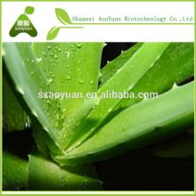 aloe vera gel freeze dried powder