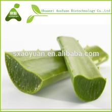 Natural Healthy Supplement Aloe Vera Extract Powder