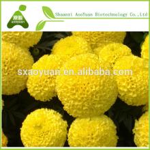  Marigold   extract   zeaxanthin  5% HPLC
