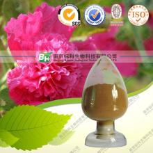High quality Marshmallow Root Powder/ Althaea Officinalis Extract/Hollyhock Extract