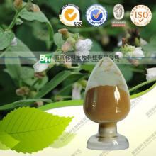 Marshmallow Root Extract/ Althaea Officinalis Extract
