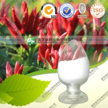 20%-98% Piperine Black Pepper Extract  Powder  CAS No.: 94-62-2