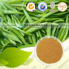 Black Tea extract Theaflavin 40% manufactuer in China