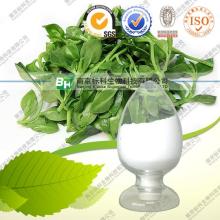 100% Natural  Barley   Malt  Extract Hordenine 98% powder
