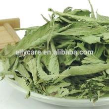 Stevia Extract (Stevioside)