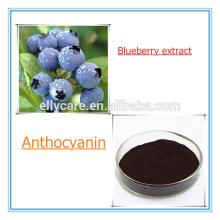 Natural Blueberry P.E./Bilberry P.E. Anthocyanidin25%