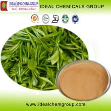 100% Pure China Green Tea Leaf Extract Polyphenols,EGCG with Best Price