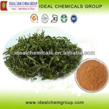 green tea l-theanine