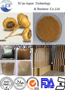 Wholesale peru Maca tea bulk and organic Popularity high quality supply natural maca extract powder