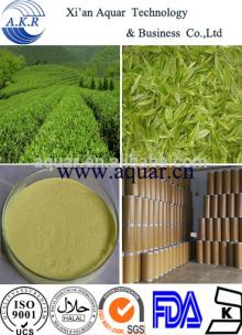 Organic natural and herbal Green Tea Extract HPLC and free sample powder