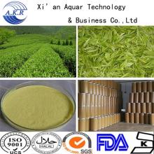 China GreenTea Extract Powder/Wholesale Green Tea Extract Powder Green tea extract
