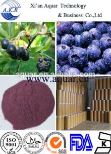 2014 Hot sell high quality acai berry extract powder 10:1 in stock