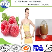 Factory supplying sorts of Organic Raspberry Ketones Powder 98%
