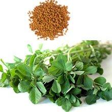 Fenugreek Seed Extract Powder