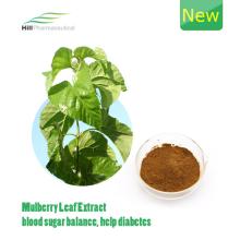 1 DNJ Mulberry Leaf Extract/Morus Alba Extract