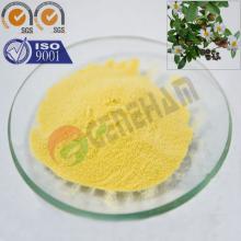 High purity Tea Saponin Powder