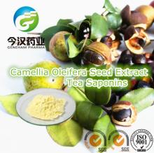 natural and high quality tea saponin powder manufacturer