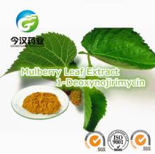 Mulberry Leaf Extract 1-Deoxynojirimycin DNJ Natural White Mulberry