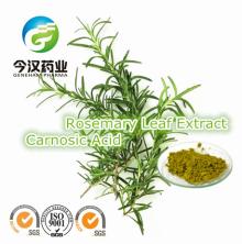 natural preservative rosemary extract carnosic acid