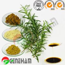 Manufacturer carnosic acid rosmarinic acid ursolic oleoresin Nature Rosemary extract