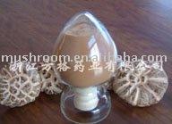 Shiitake Mushroom  Extract ; Lentinus   edodes   extract ;powder,tea bag