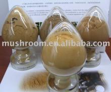  Cordyceps   sinensis  Extract