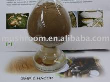 Maitake Mushroom Extract (Grifola frondosa extract)
