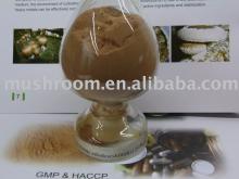 Shiitake Mushroom Extract (Lentinus edodes extract)