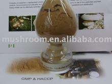 Turkey Tai Mushroom or Coriolus versicolor Extract (mycelium)