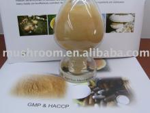 Agaricus blazei Extract ;ABM mushroom extract;Agaricus blazei powder