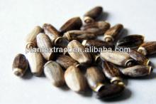 high content Silymarin(Milk Thistle Extract)